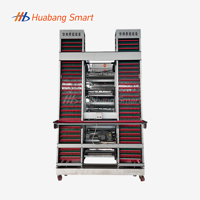Chicken Cages Egg Layer H Type